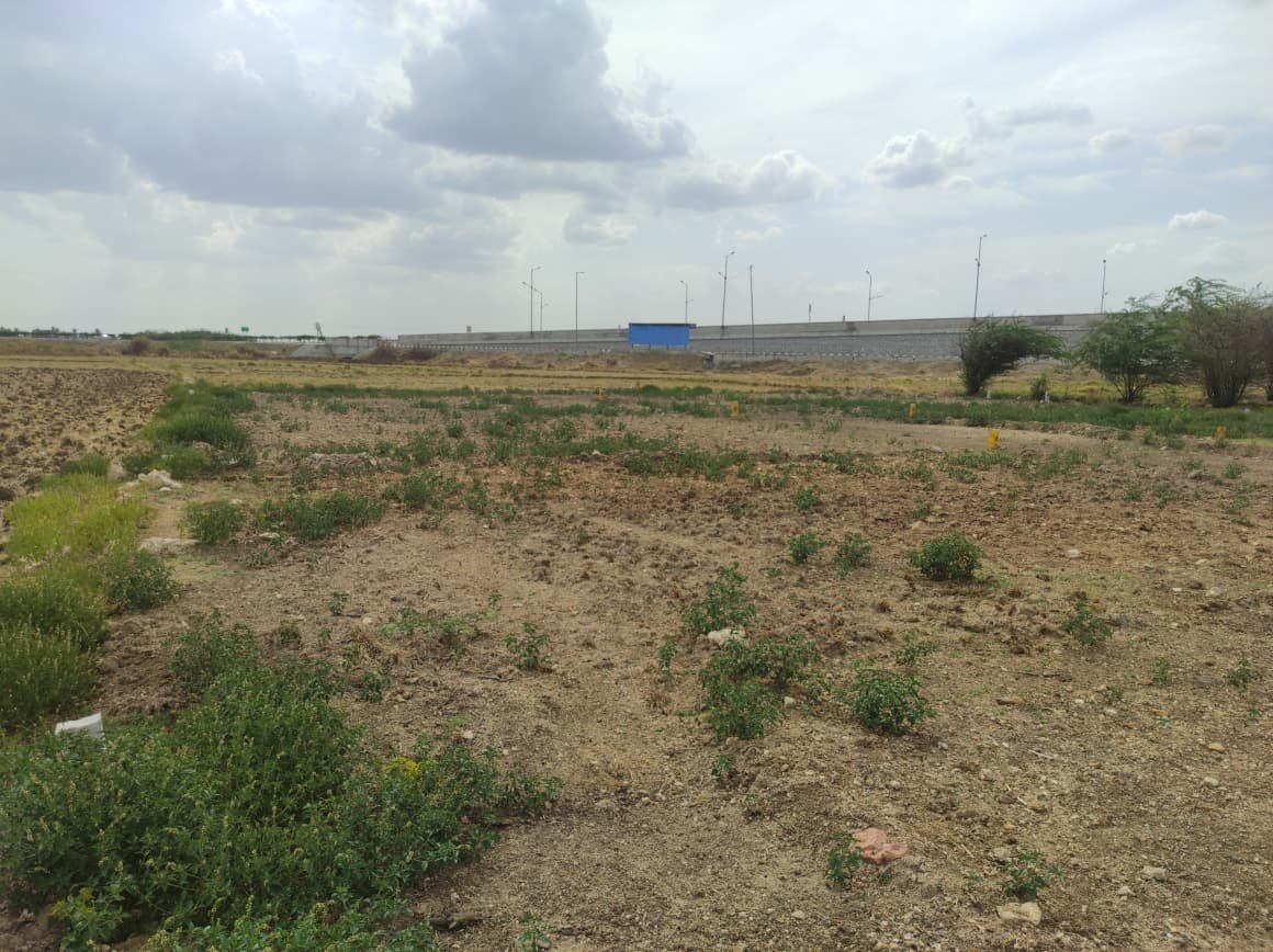 Deva Nagar Plot